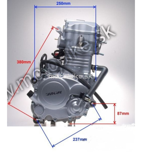 Motor ATV 250ST-9E SHINERAY 167FMM