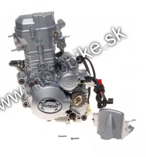 Motor ATV 250ST-9E SHINERAY 167FMM